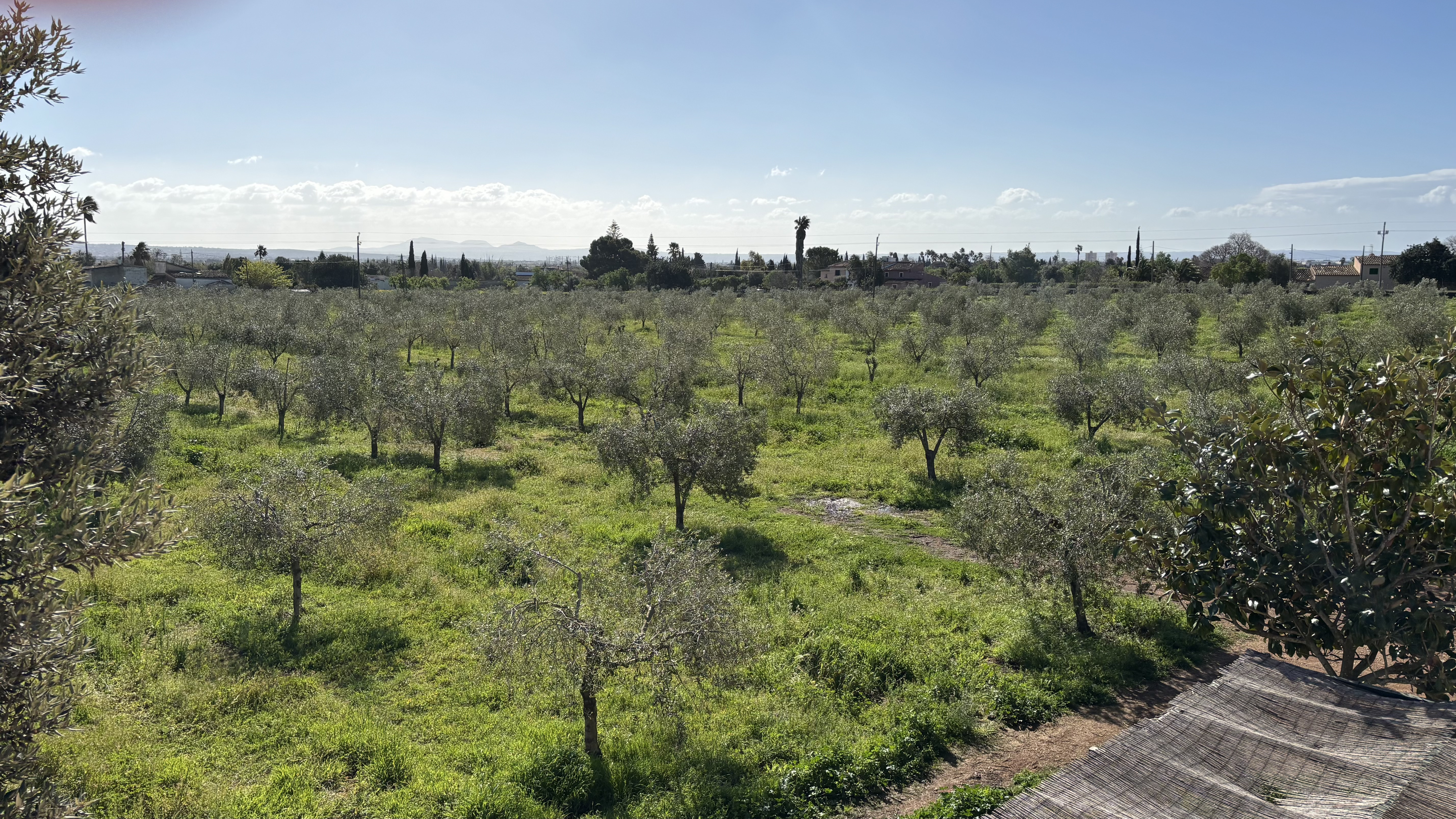 Finca familiar de MEAM en Mallorca